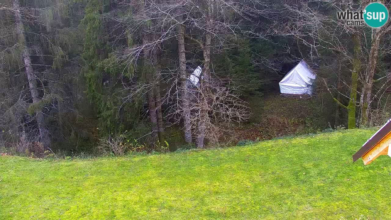 Webcam Lukanja – Pohorje houses a Water village