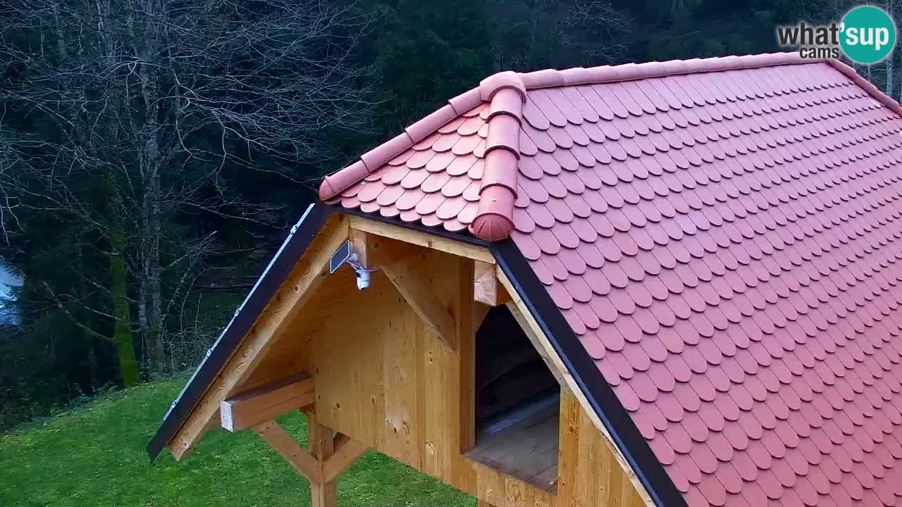 Spletna kamera Lukanja – Water Village | Pohorje Houses