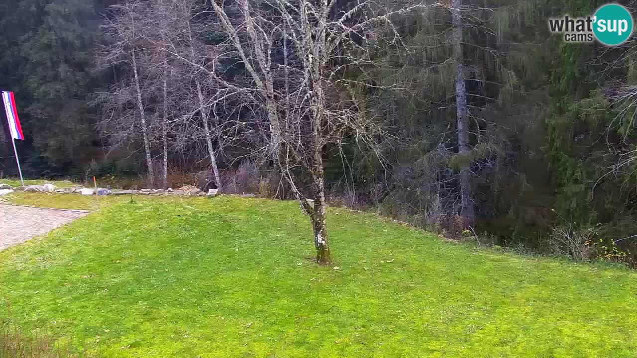 Webcam Lukanja – Pohorje houses a Water village