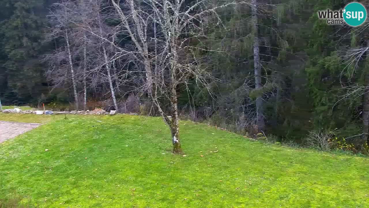 Webcam Lukanja – Pohorje houses a Water village