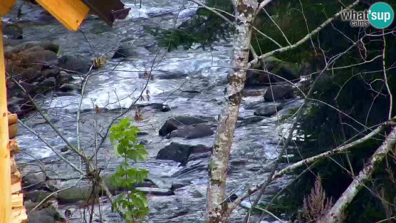 Webcam Lukanja – Water Village | Pohorje Houses
