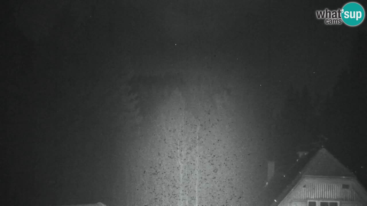 Webcam Lukanja – Pohorje houses a Water village