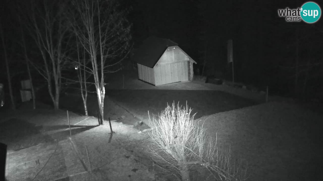 Webcam Lukanja – Water Village | Pohorje Houses