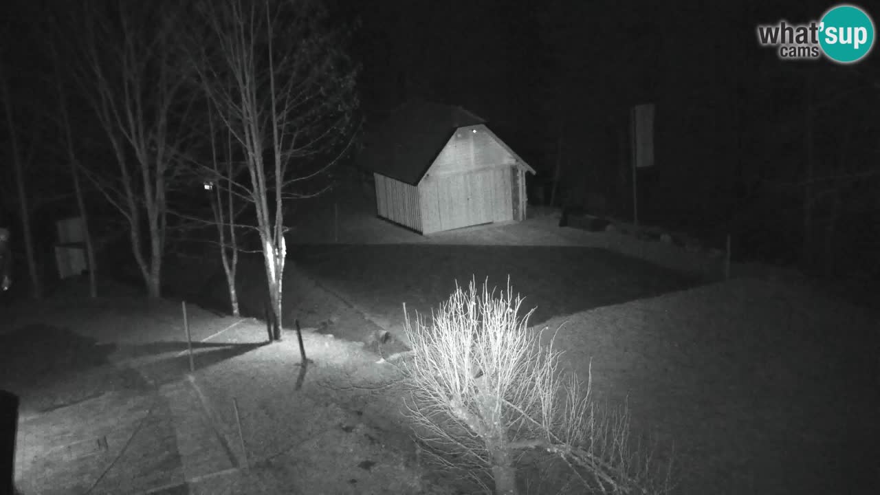 Webcam Lukanja – Pohorje houses a Water village