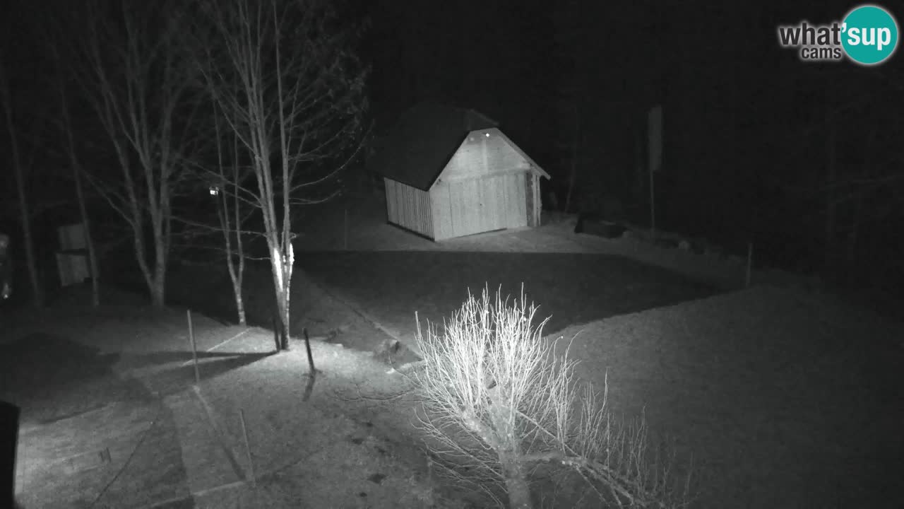 Webcam Lukanja – Water Village | Pohorje Houses