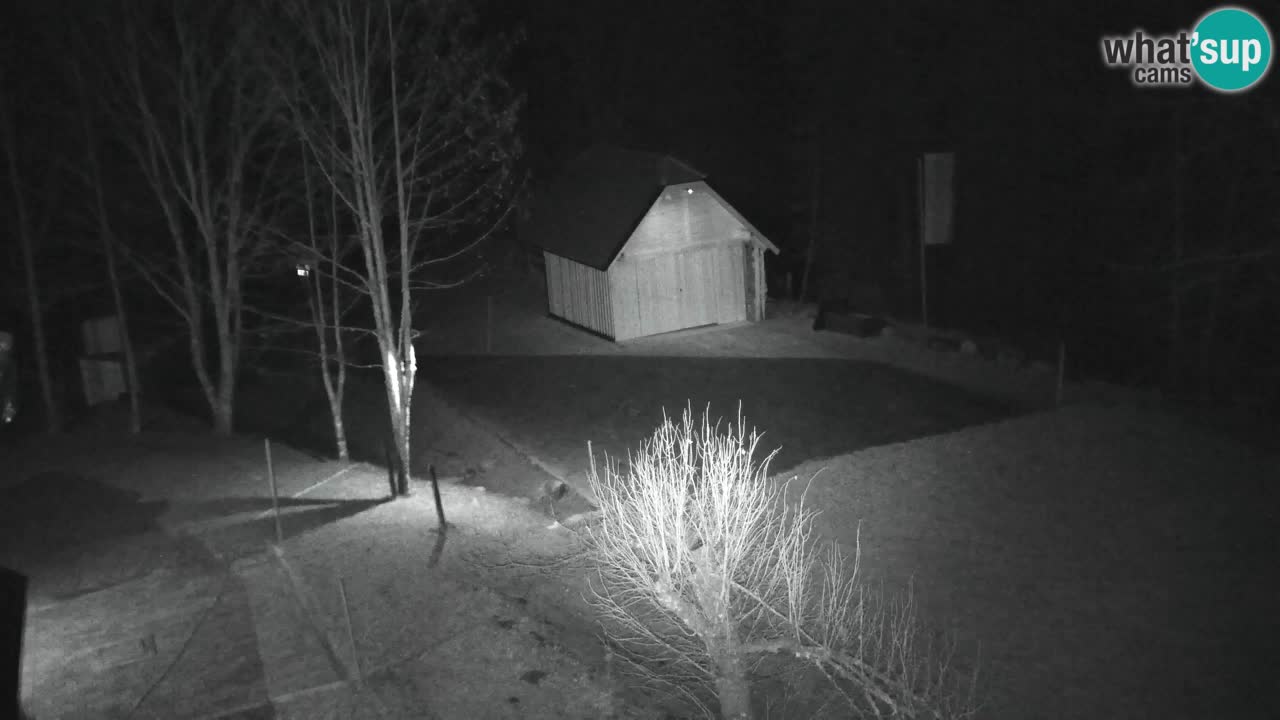 Webcam Lukanja – Water Village | Pohorje Houses