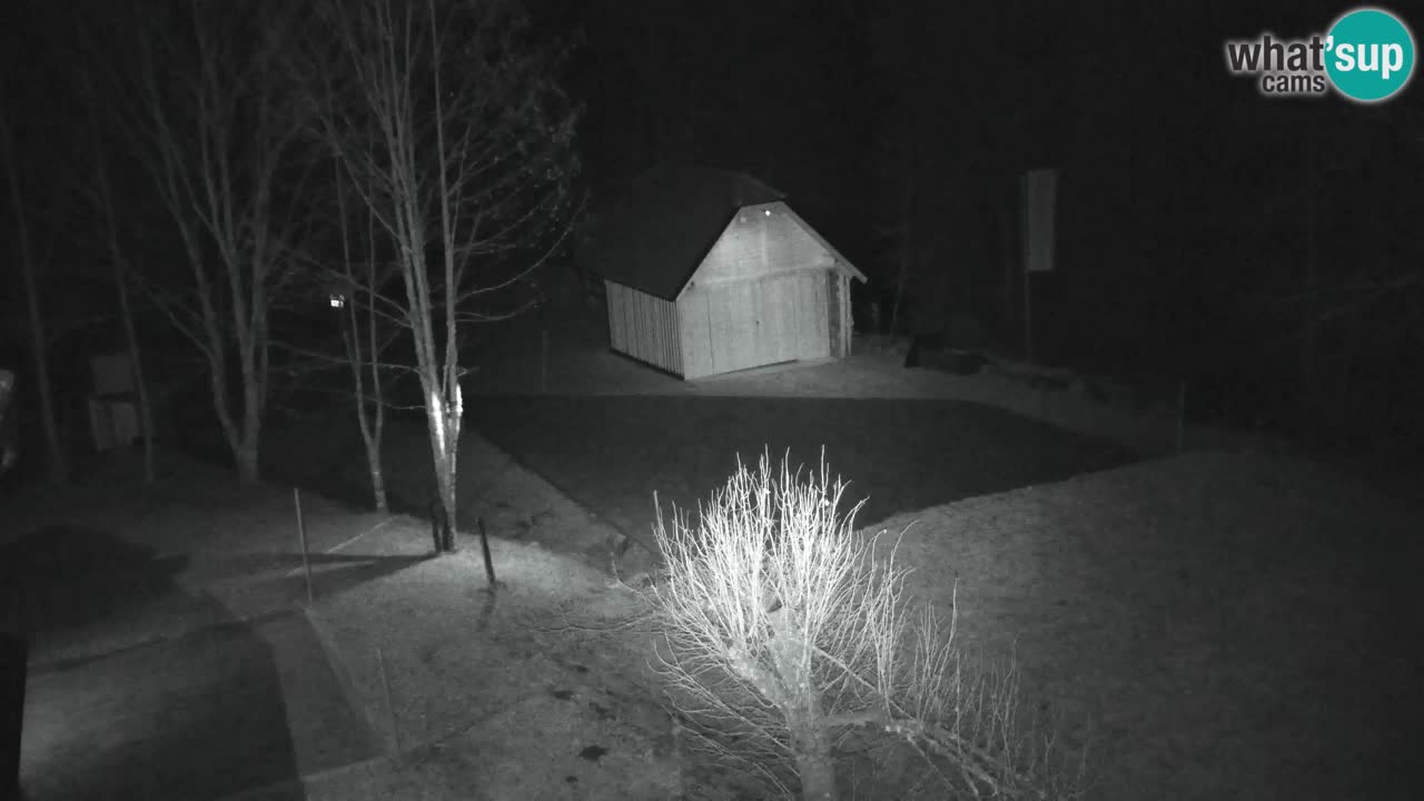 Webcam Lukanja – Water Village | Pohorje Houses