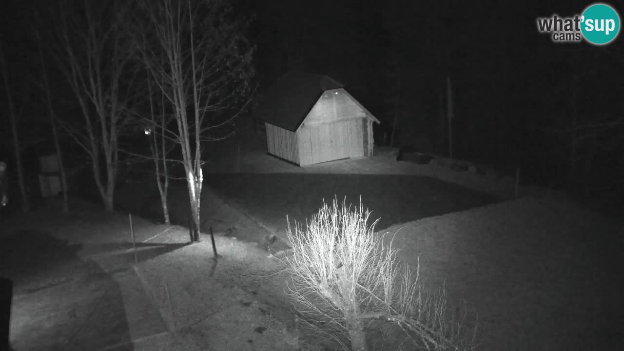 Webcam Lukanja – Water Village | Pohorje Houses