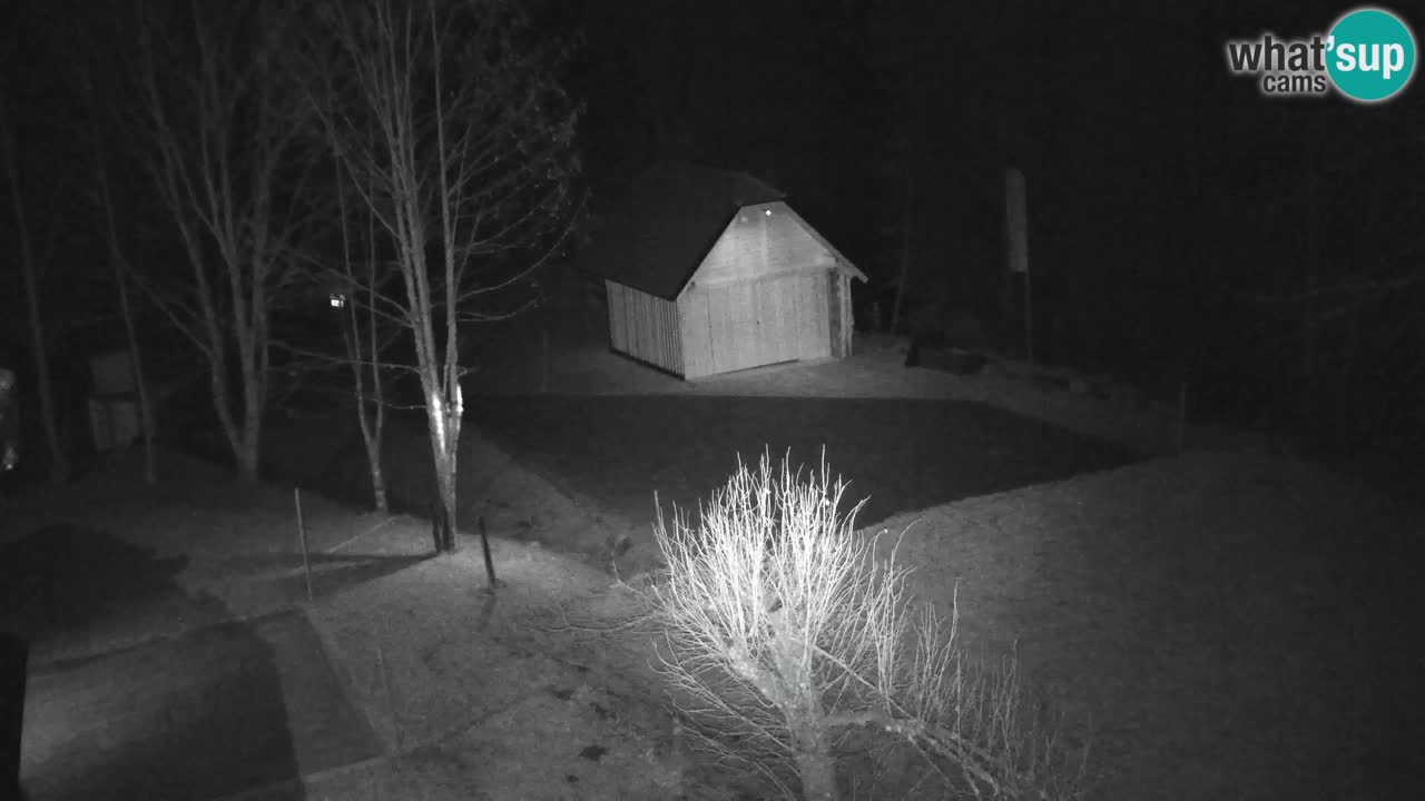 Webcam Lukanja – Pohorje houses a Water village