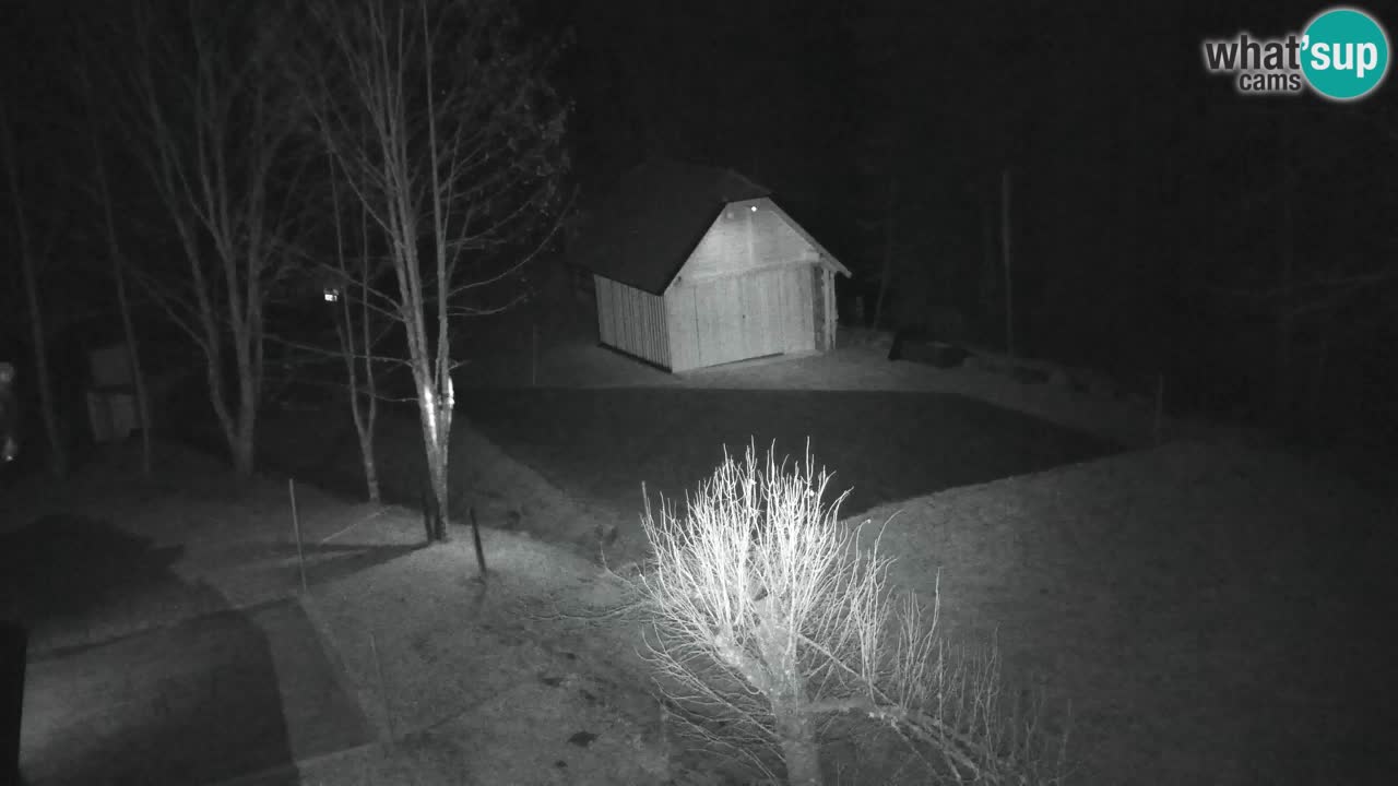 Webcam Lukanja – Water Village | Pohorje Houses