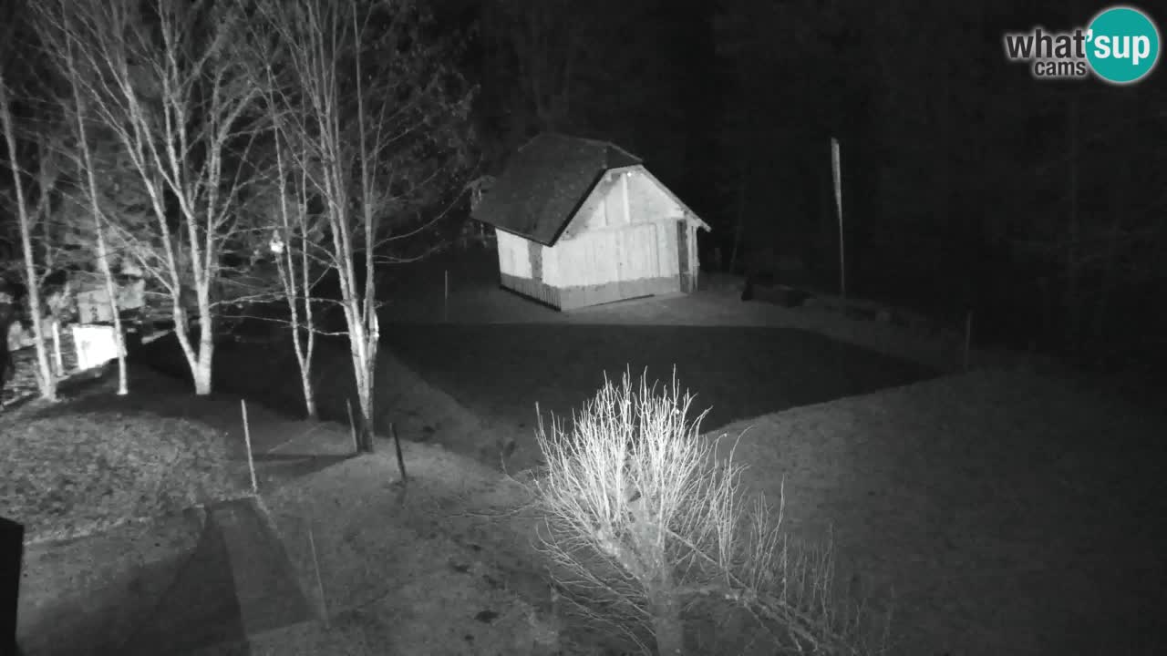 Webcam Lukanja – Water Village | Pohorje Houses