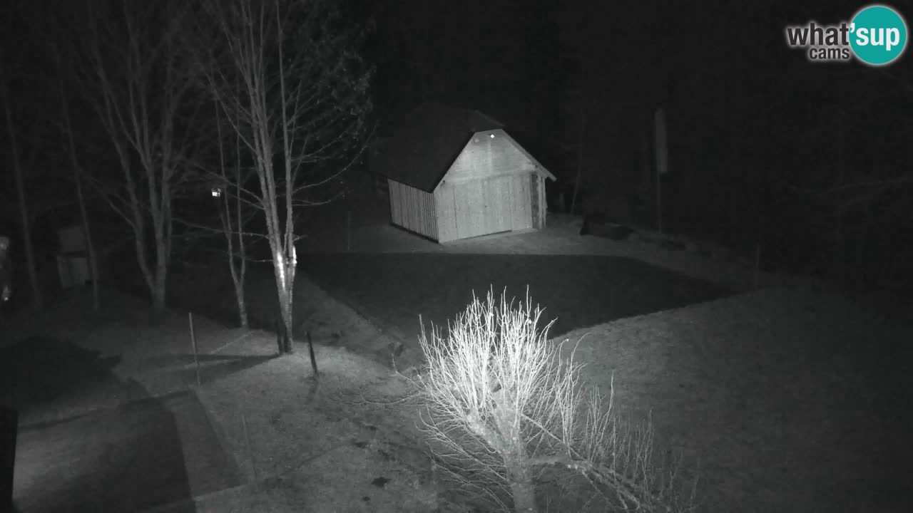 Webcam Lukanja – Pohorje houses a Water village