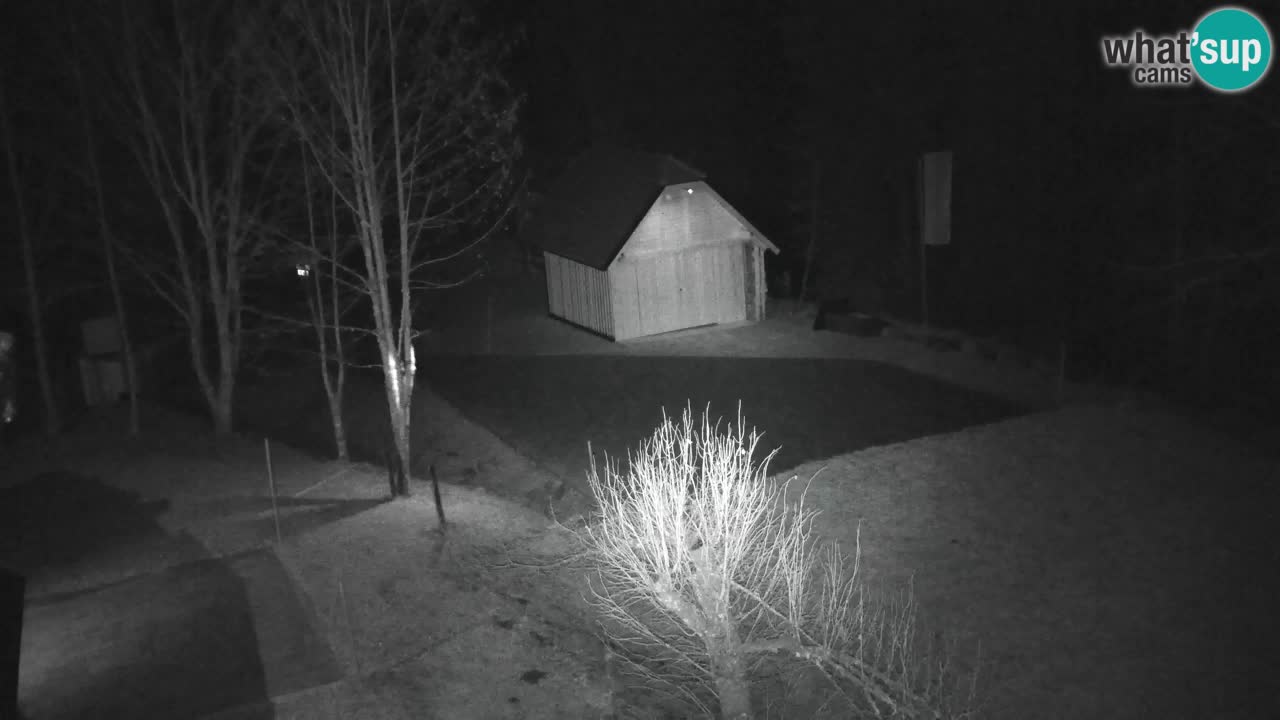 Webcam Lukanja – Water Village | Pohorje Houses