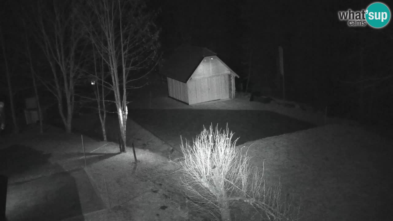 Webcam Lukanja – Water Village | Pohorje Houses