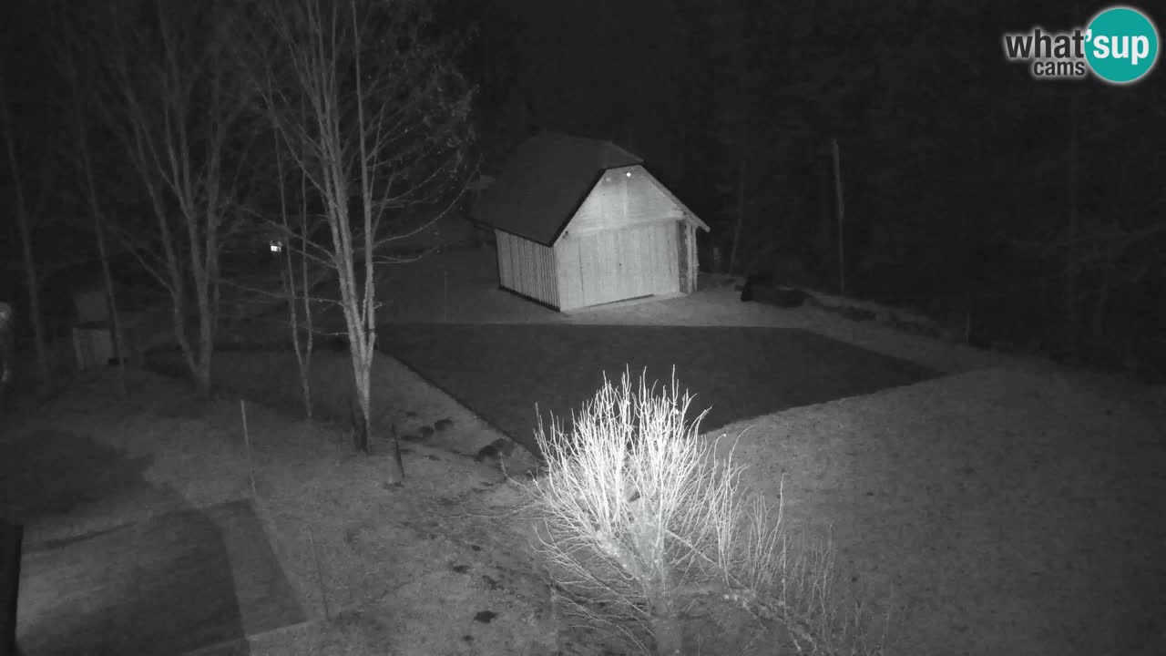 Web kamera Lukanja – Water Village | Pohorje Houses