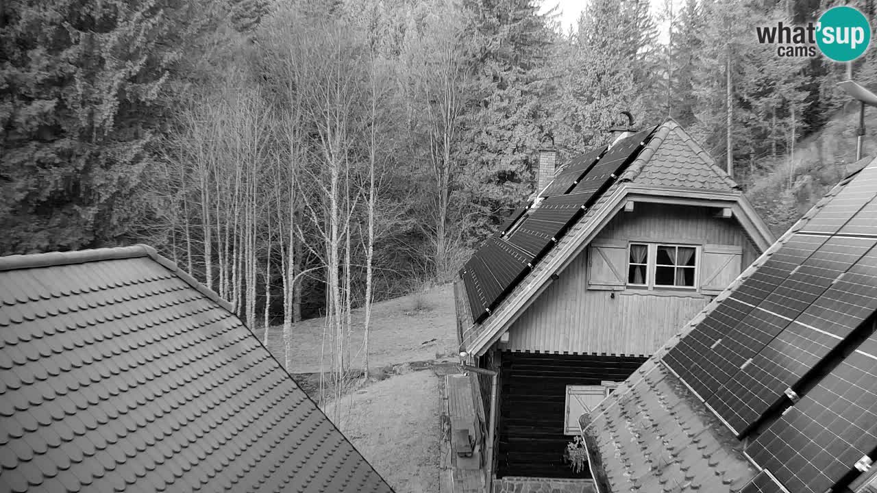 Webcam Lukanja – Pohorje houses a Water village