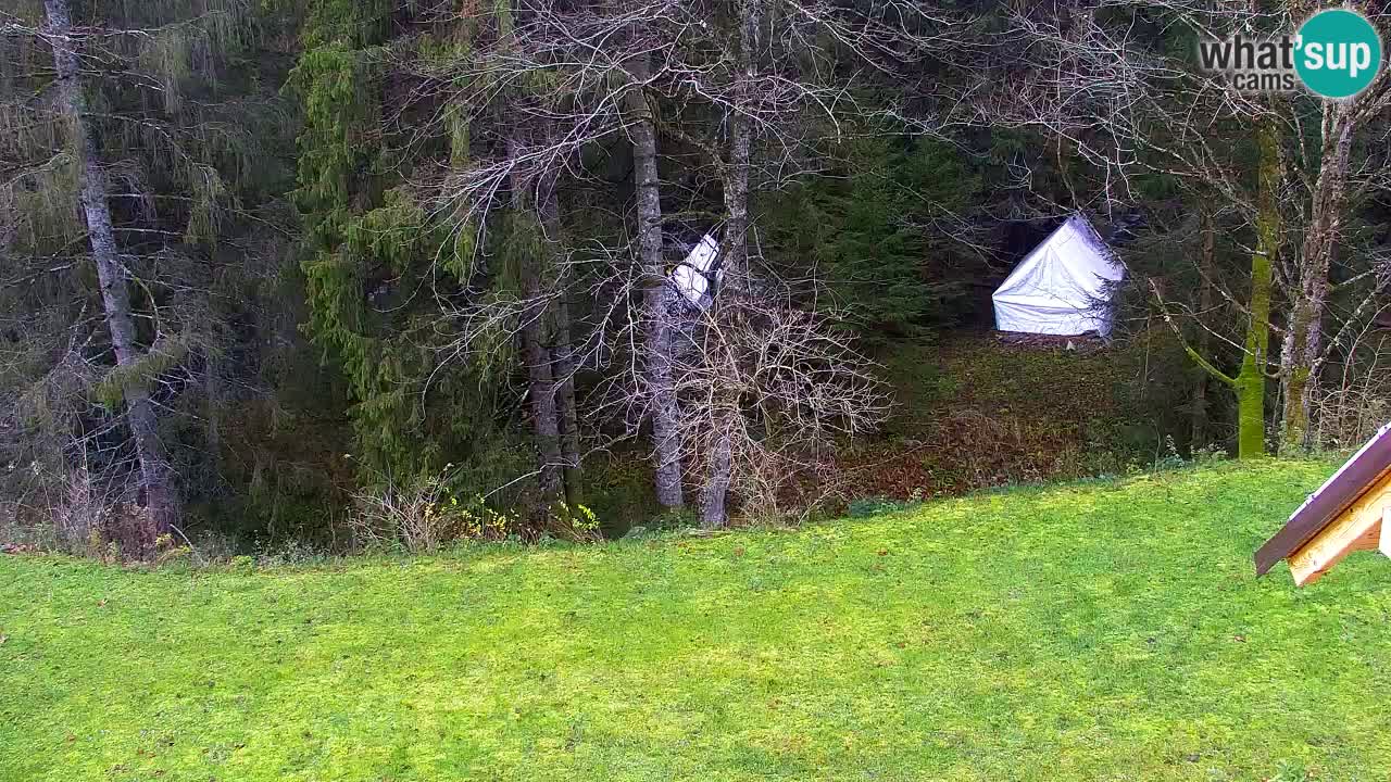 Webcam Lukanja – Water Village | Pohorje Houses