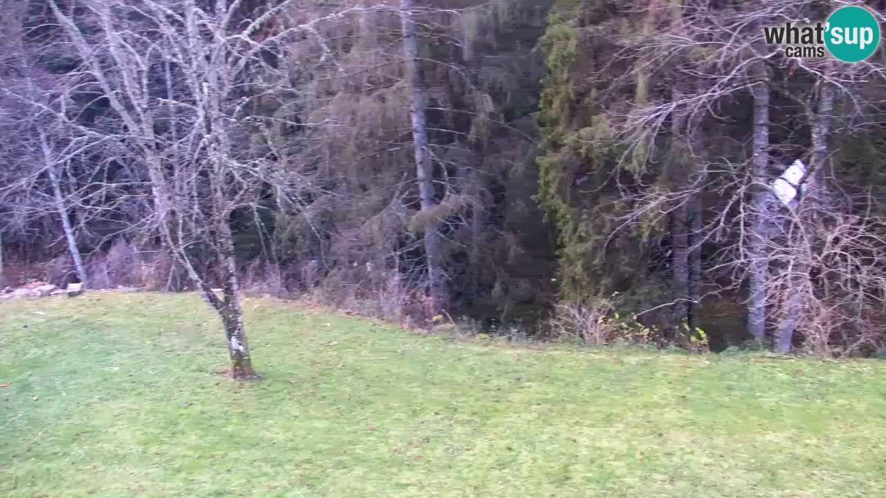 Webcam Lukanja – Water Village | Pohorje Houses