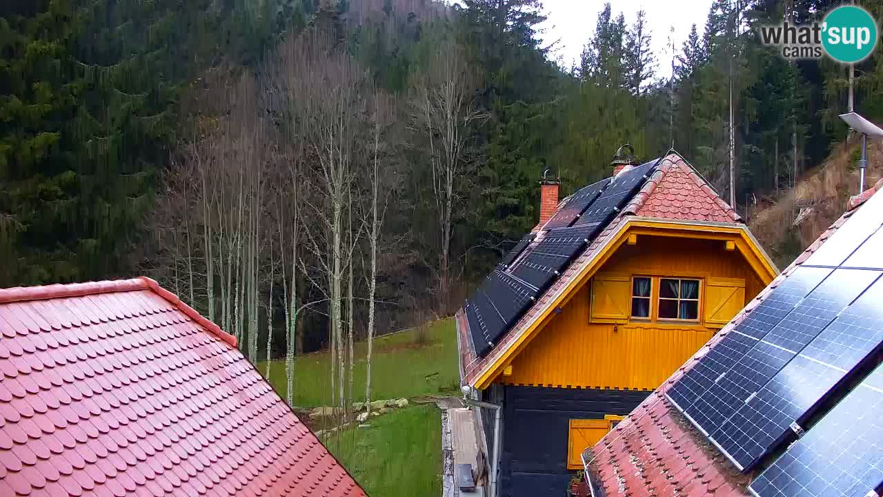 Webcam Lukanja – Water Village | Pohorje Houses