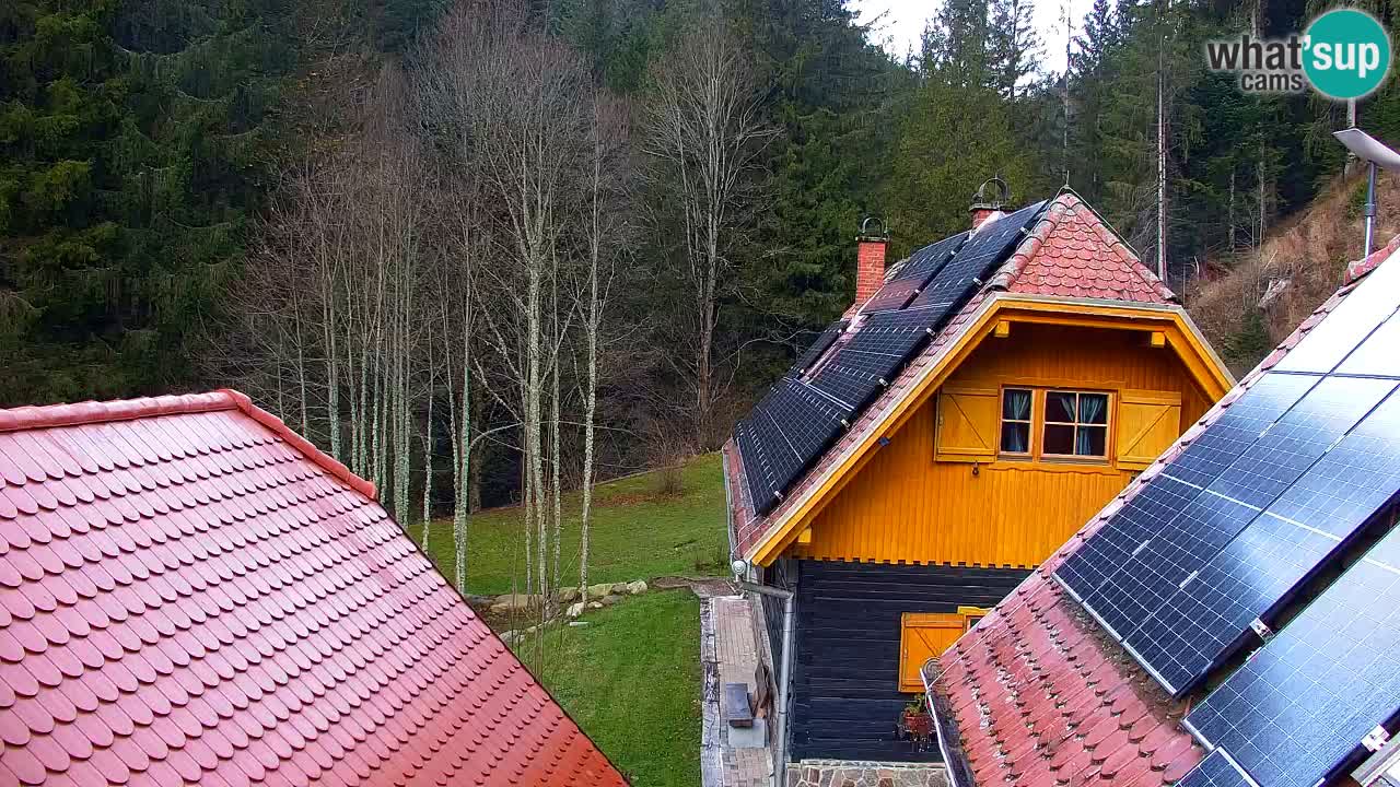 Webcam Lukanja – Water Village | Pohorje Houses