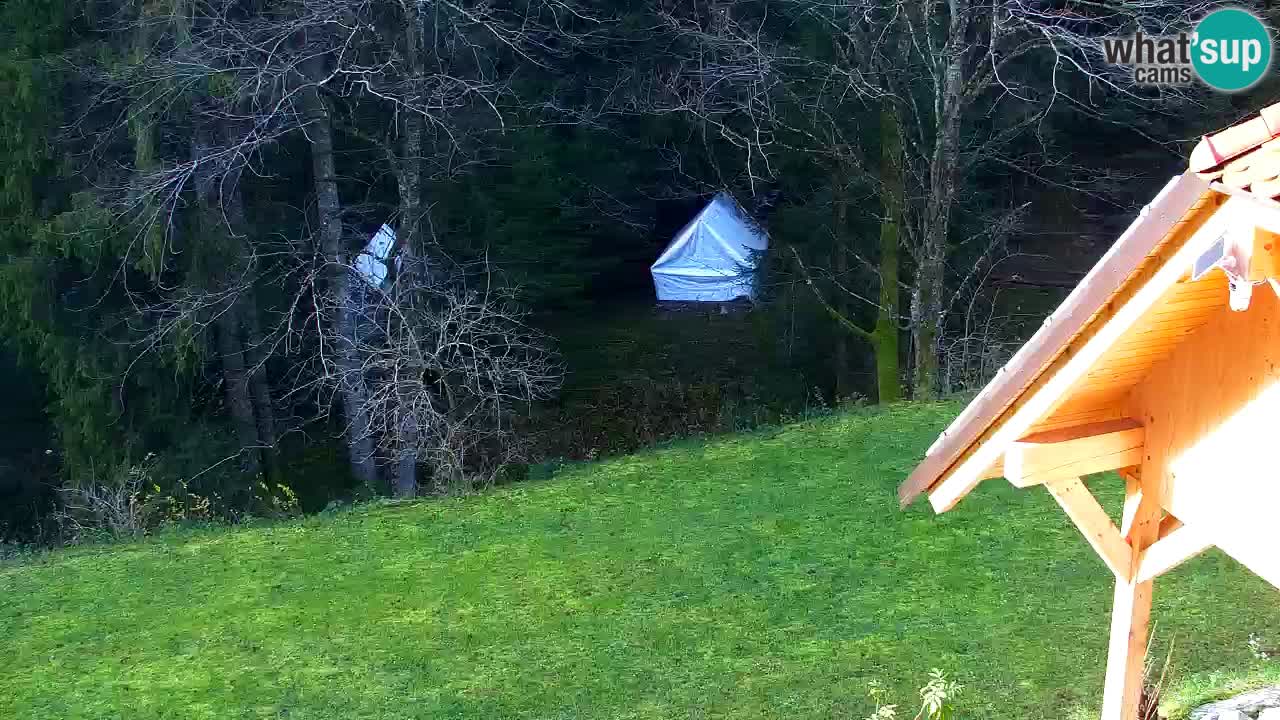 Webcam Lukanja – Water Village | Pohorje Houses