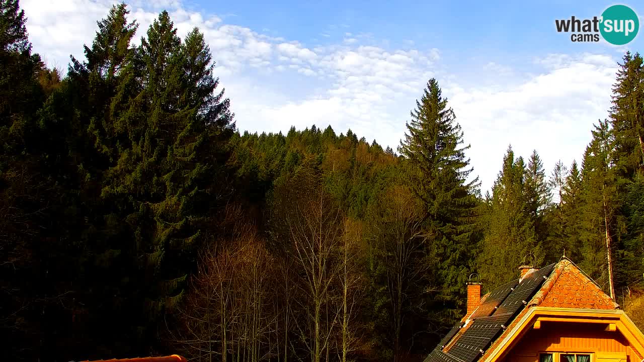Webcam Lukanja – Pohorje houses a Water village