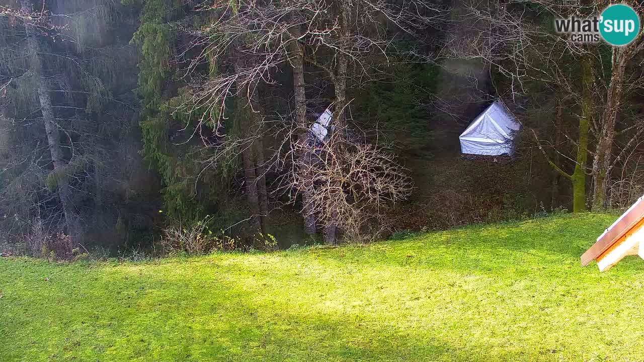 Webcam Lukanja – Water Village | Pohorje Houses