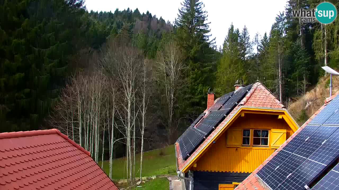 Webcam Lukanja – Water Village | Pohorje Houses
