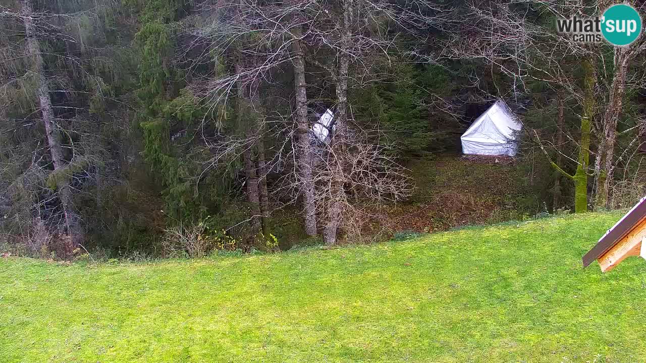 Webcam Lukanja – Water Village | Pohorje Houses