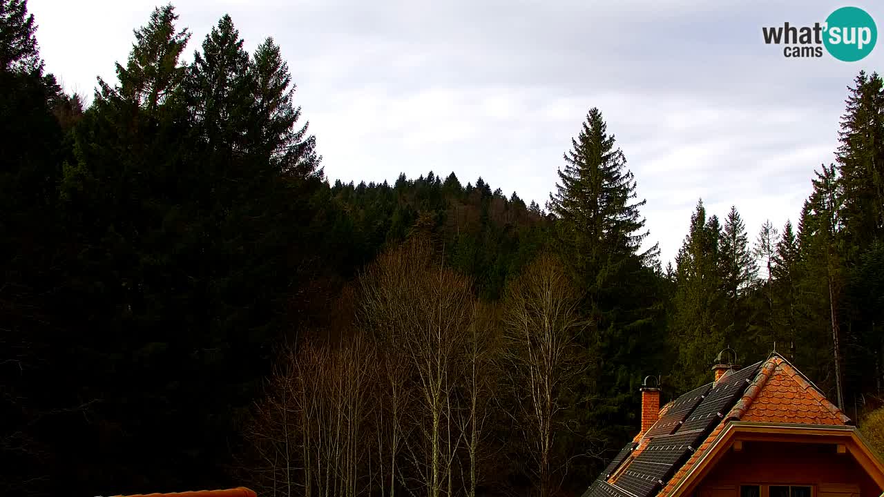 Webcam Lukanja – Water Village | Pohorje Houses