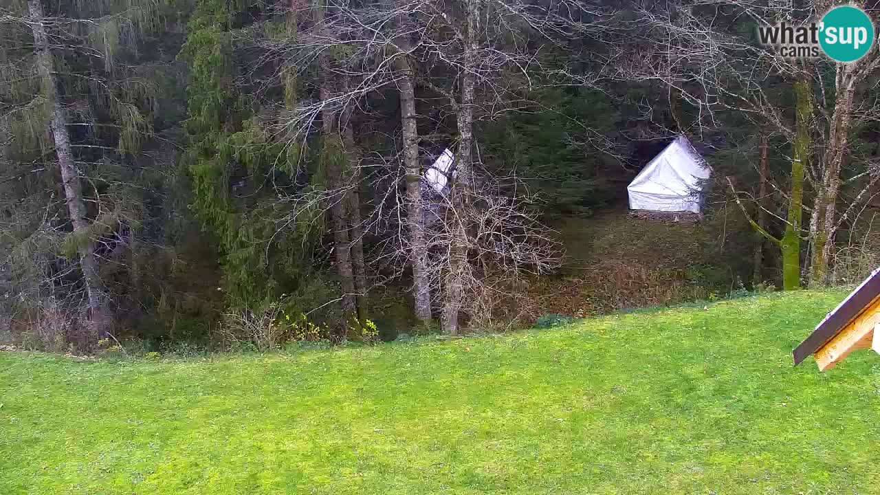 Webcam Lukanja – Water Village | Pohorje Houses