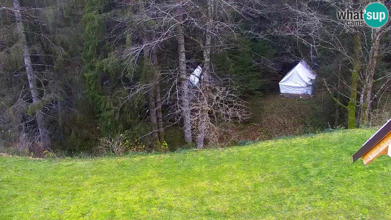 Webcam Lukanja – Water Village | Pohorje Houses