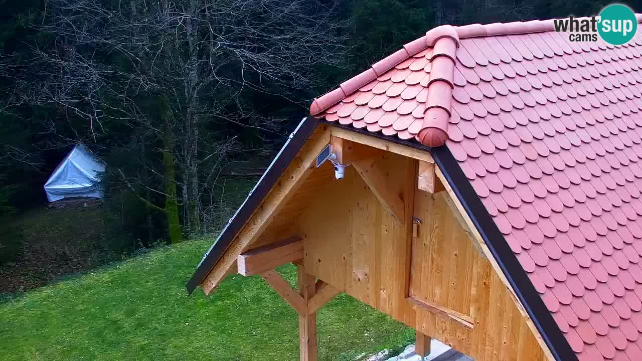 Webcam Lukanja – Water Village | Pohorje Houses