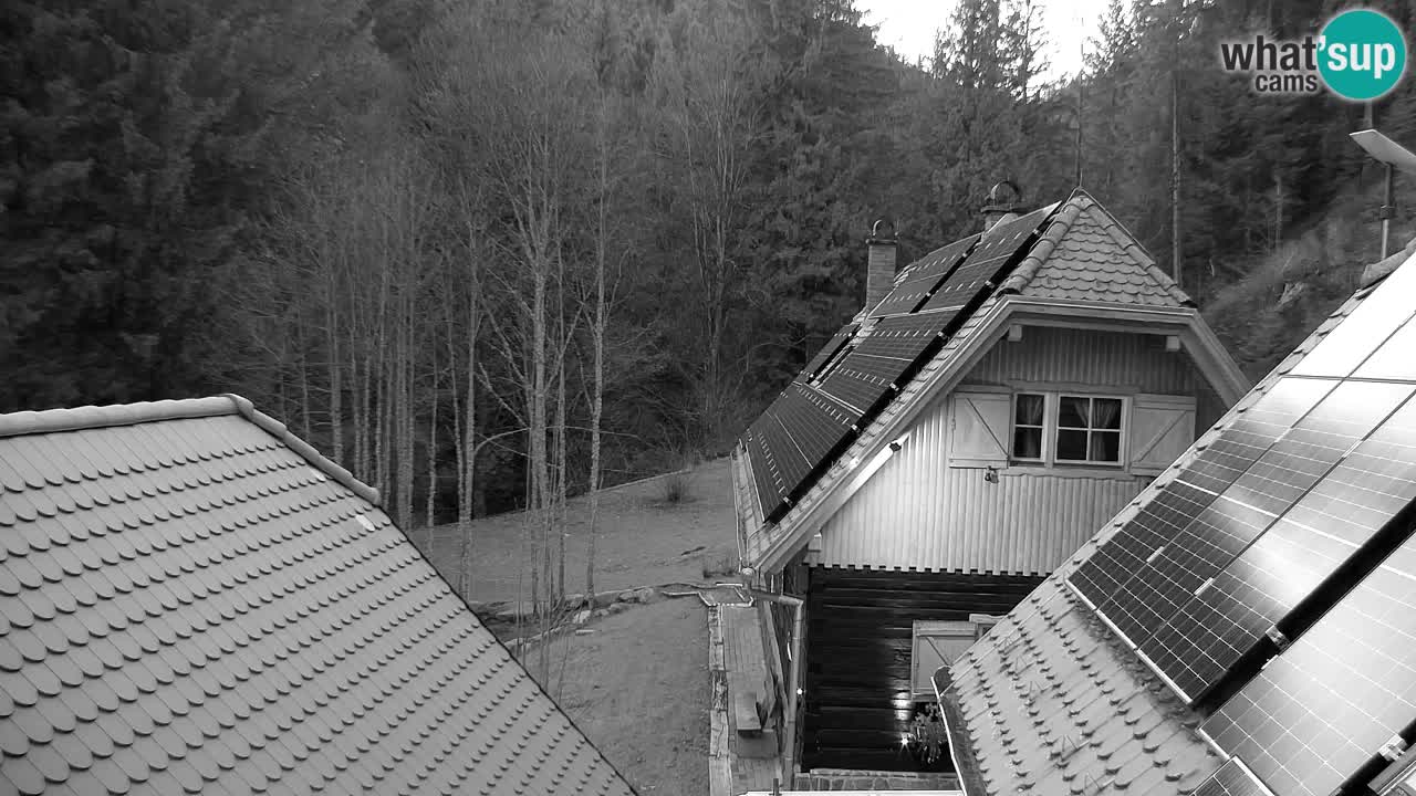 Web kamera Lukanja – Water Village | Pohorje Houses