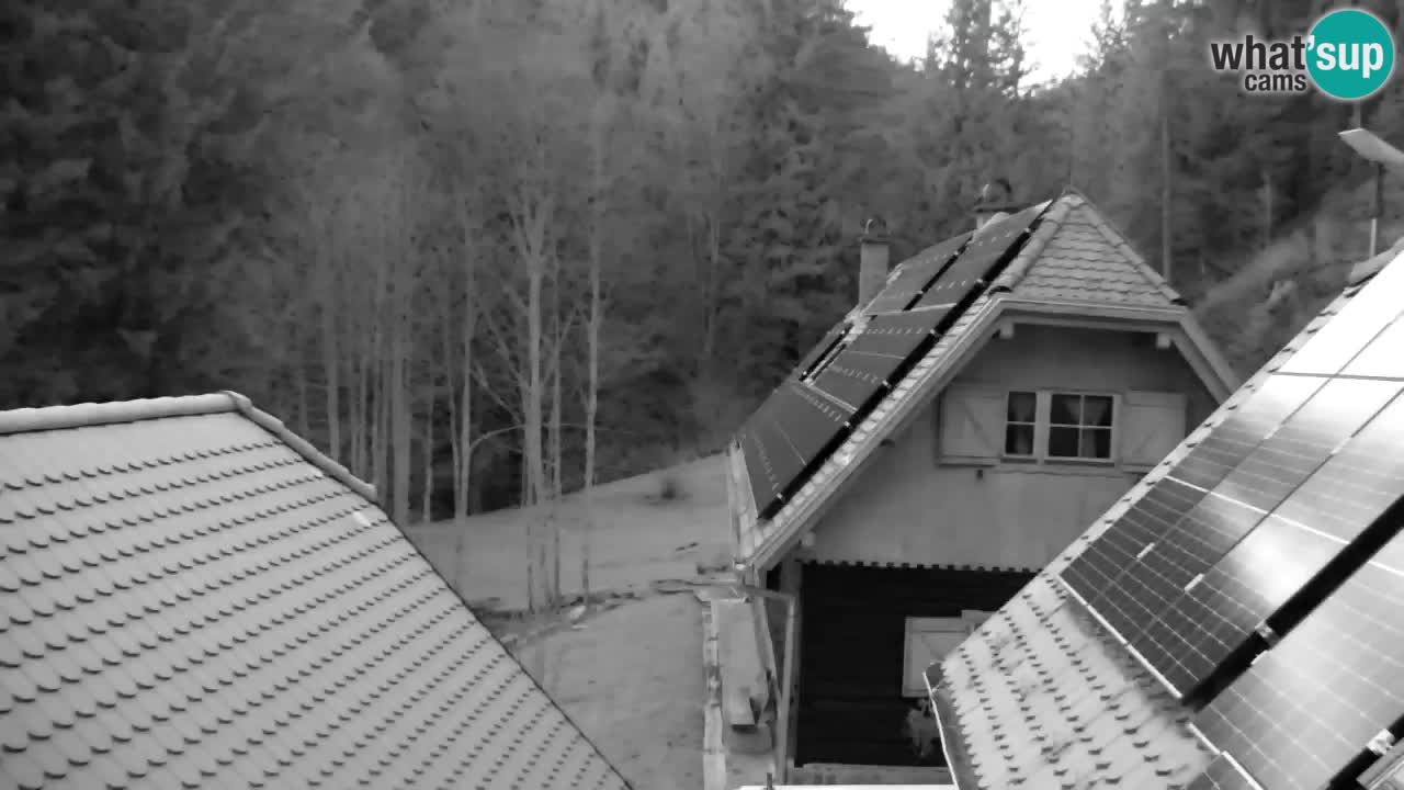 Webcam Lukanja – Pohorje houses a Water village