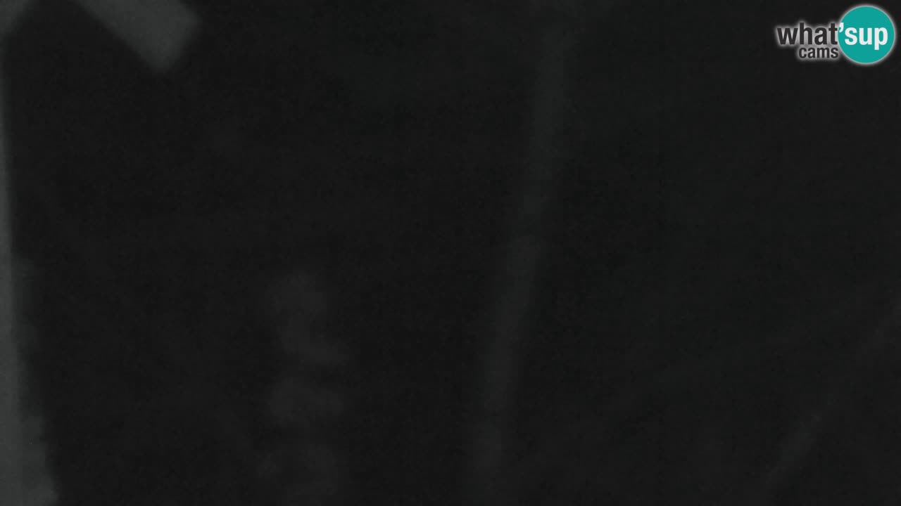 Web kamera Lukanja – Water Village | Pohorje Houses