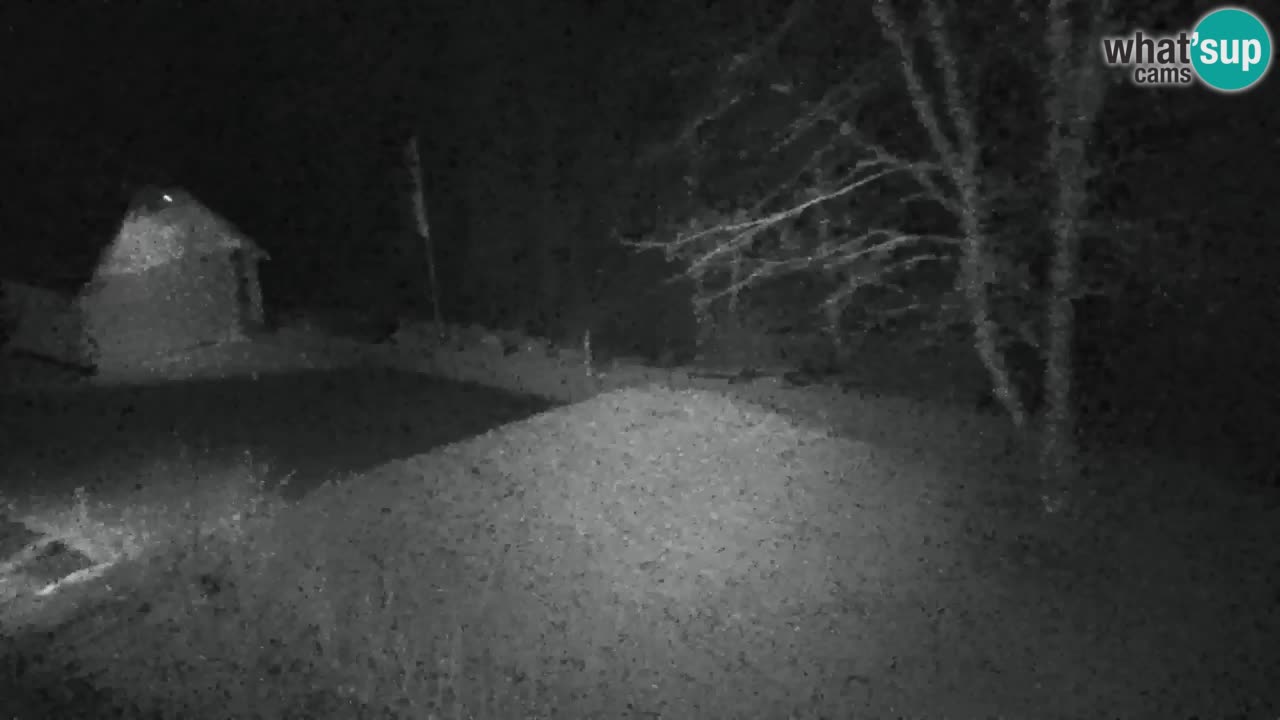 Webcam Lukanja – Pohorje houses a Water village