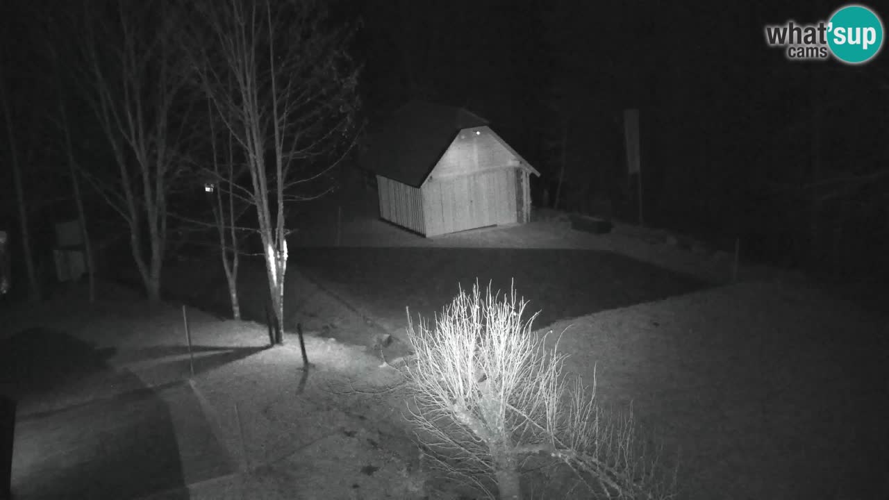 Webcam Lukanja – Pohorje houses a Water village