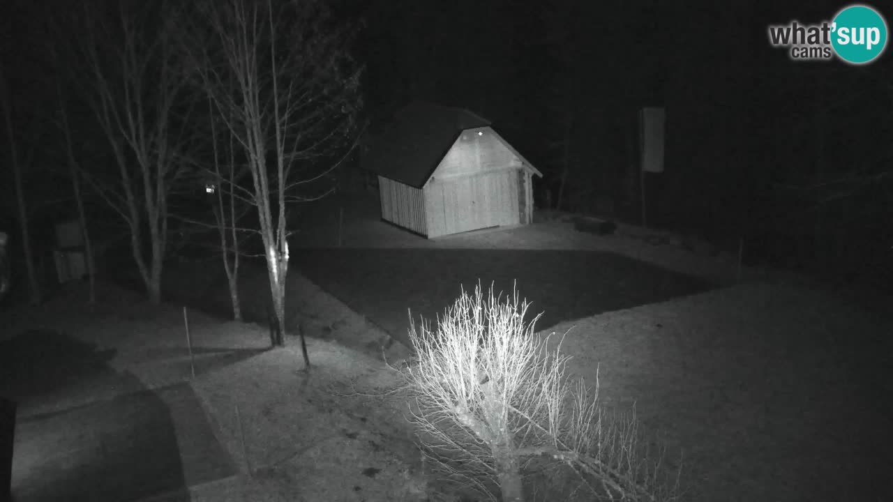 Webcam Lukanja – Pohorje houses a Water village