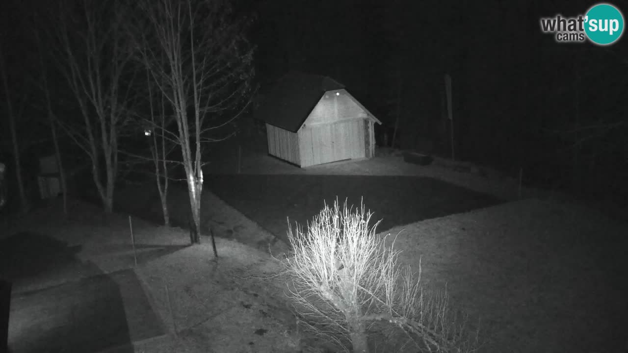 Webcam Lukanja – Pohorje houses a Water village