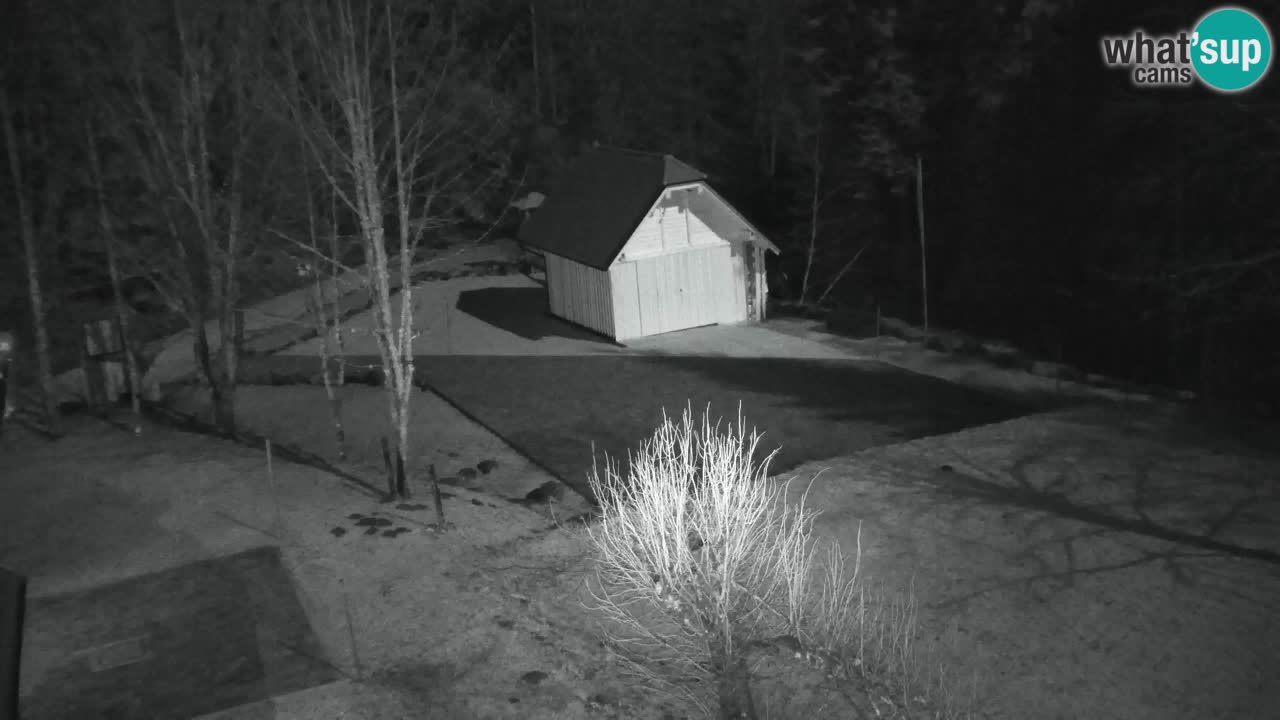 Webcam Lukanja – Water Village | Pohorje Houses