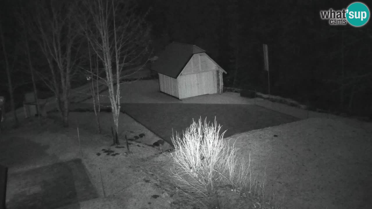 Webcam Lukanja – Water Village | Pohorje Houses