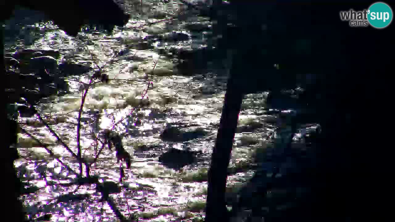 Webcam Lukanja – Water Village | Pohorje Houses