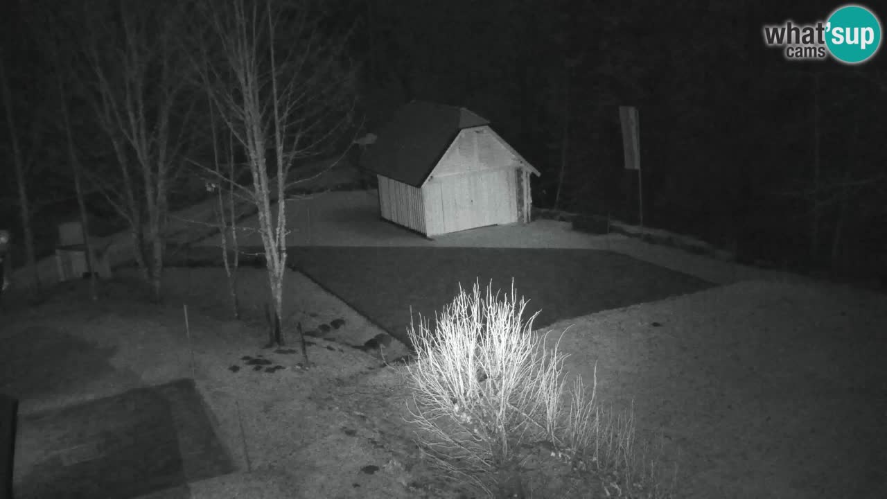 Webcam Lukanja – Water Village | Pohorje Houses