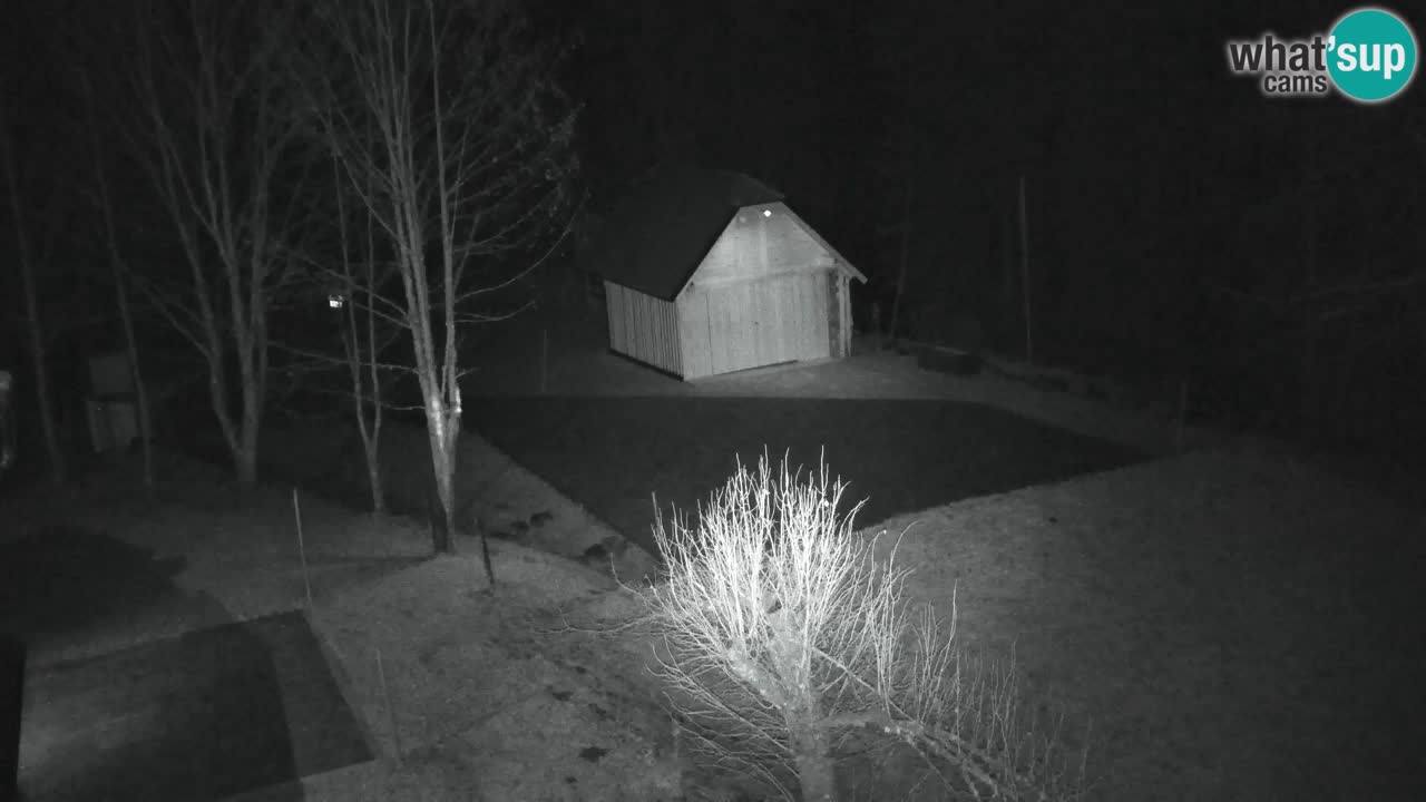 Webcam Lukanja – Water Village | Pohorje Houses