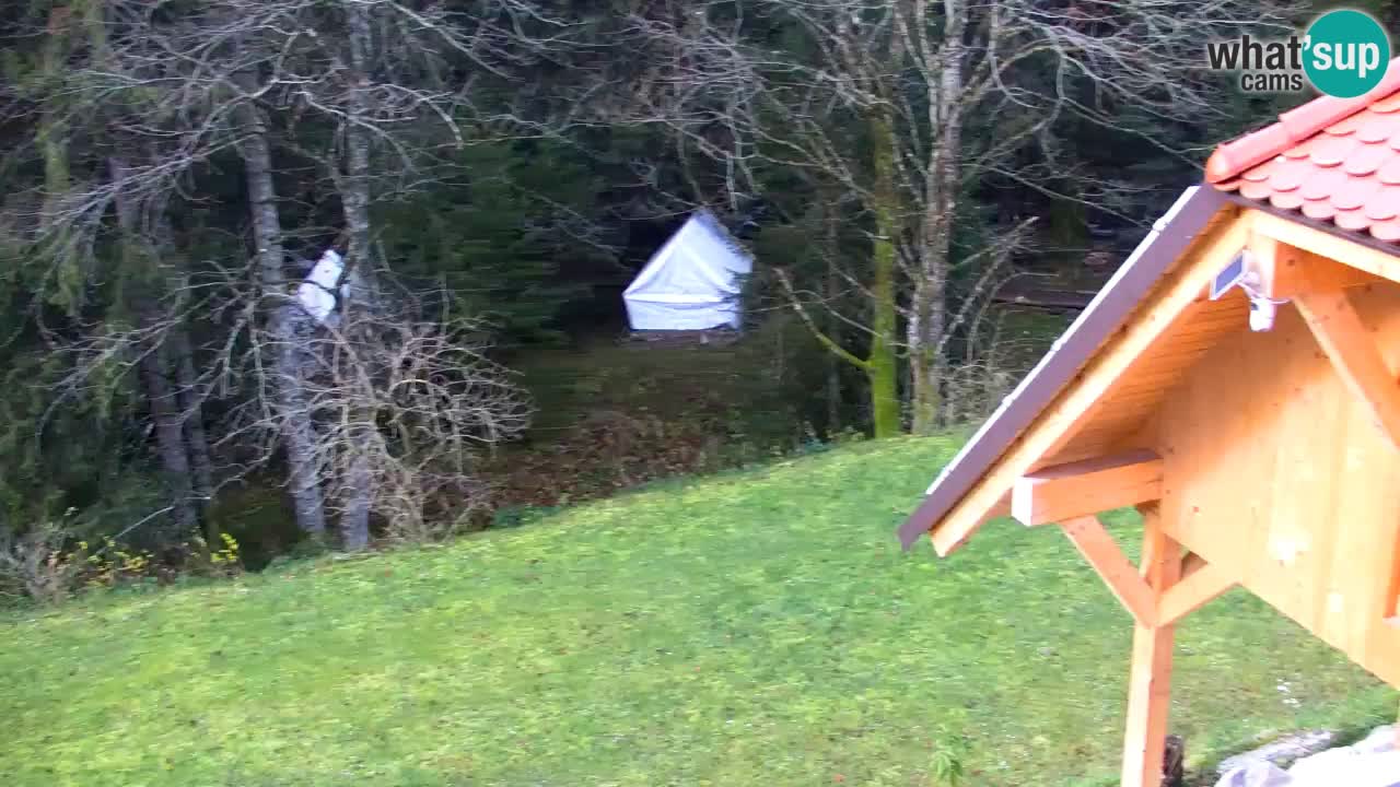 Webcam Lukanja – Water Village | Pohorje Houses