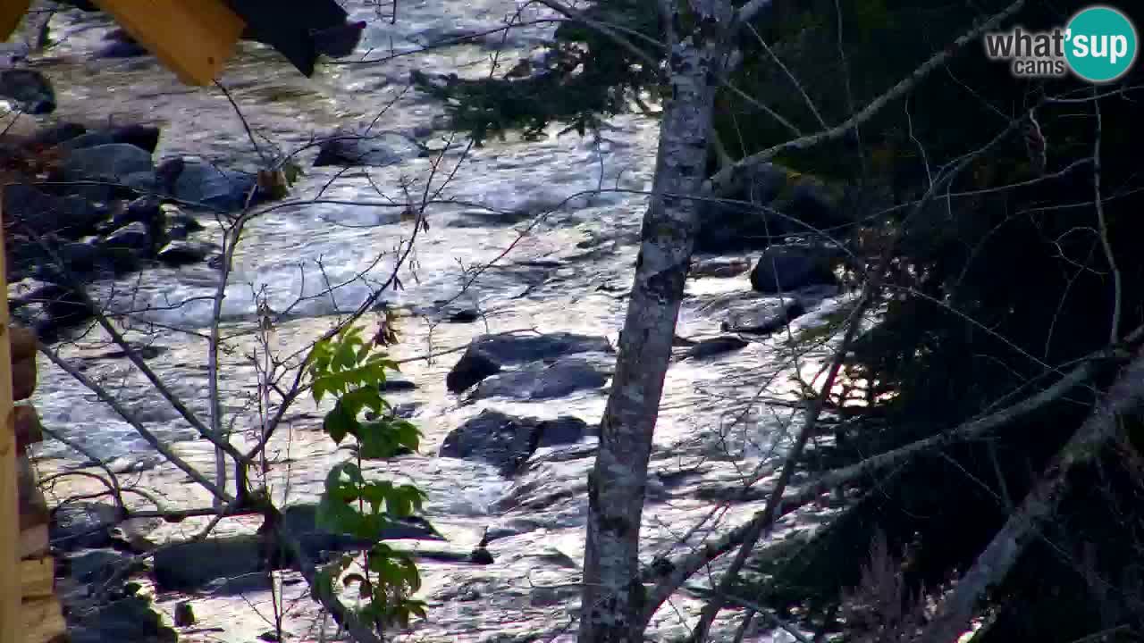 Spletna kamera Lukanja – Water Village | Pohorje Houses