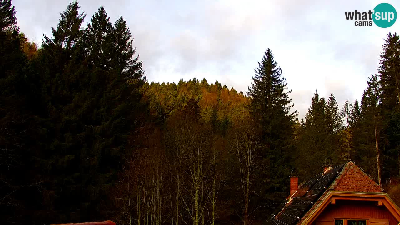 Web kamera Lukanja – Water Village | Pohorje Houses