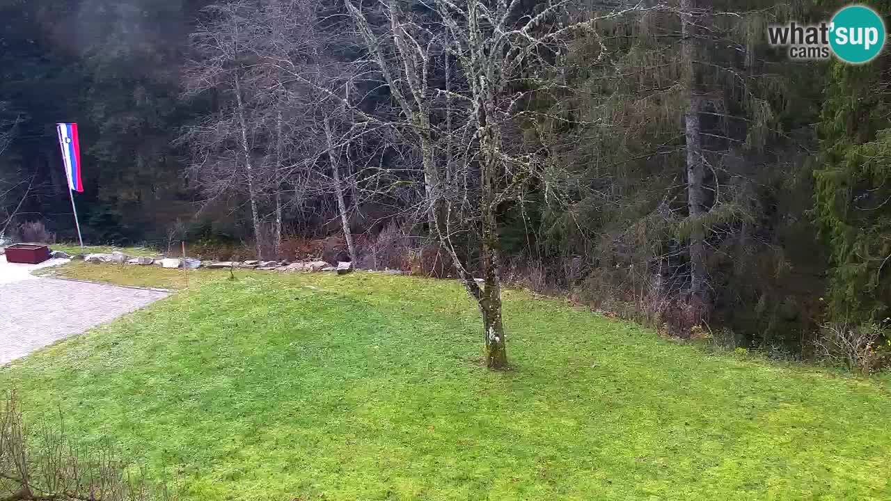 Spletna kamera Lukanja – Water Village | Pohorje Houses