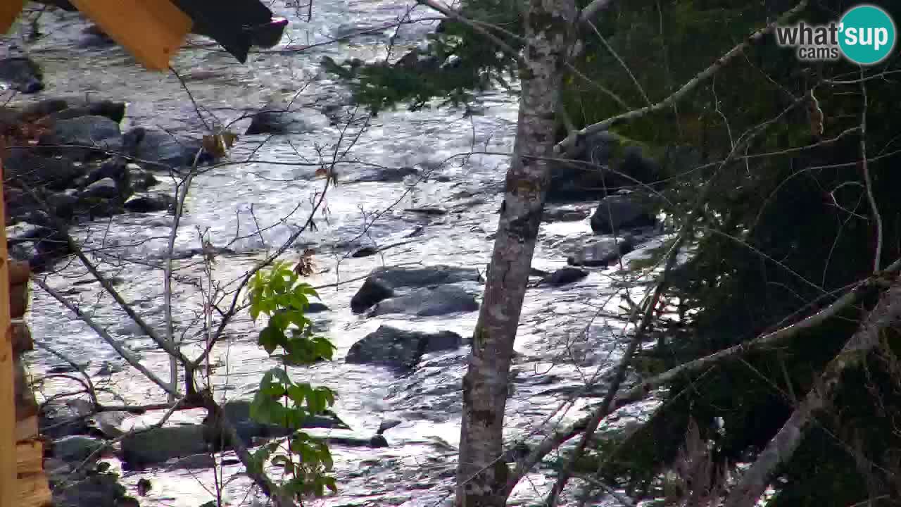 Webcam Lukanja – Water Village | Pohorje Houses